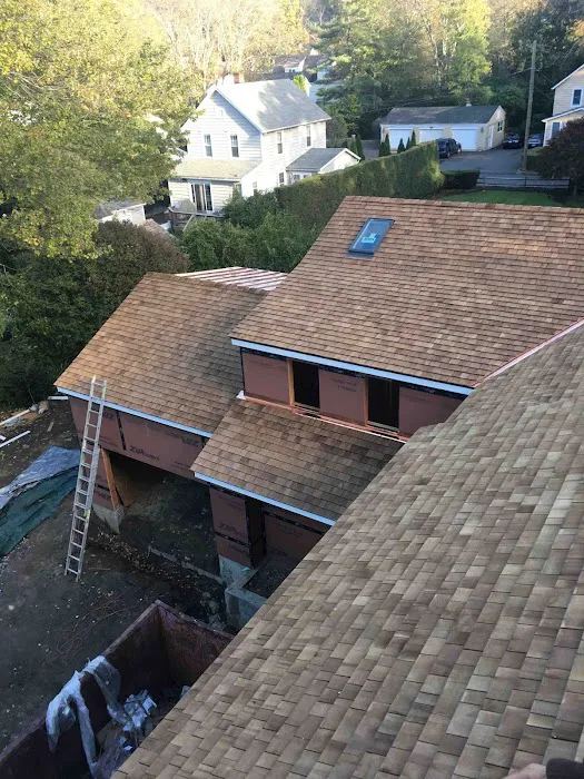 Marquez Roofing Picture 9