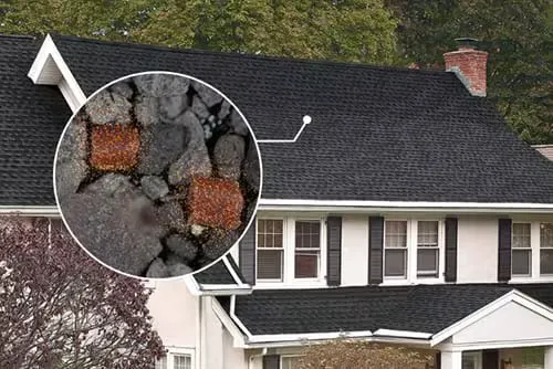 ROOF PROTECT LLC Picture 1