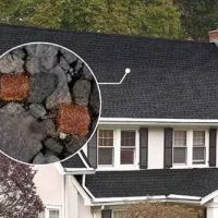 ROOF PROTECT LLC ico