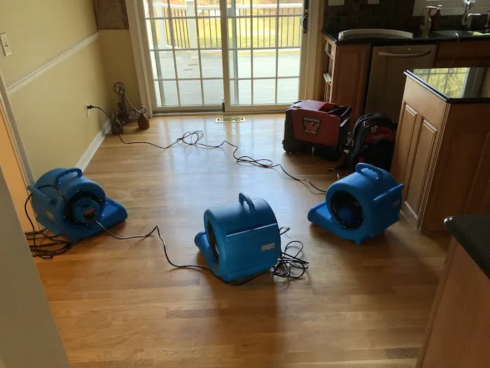 Kramer Restoration Picture 8