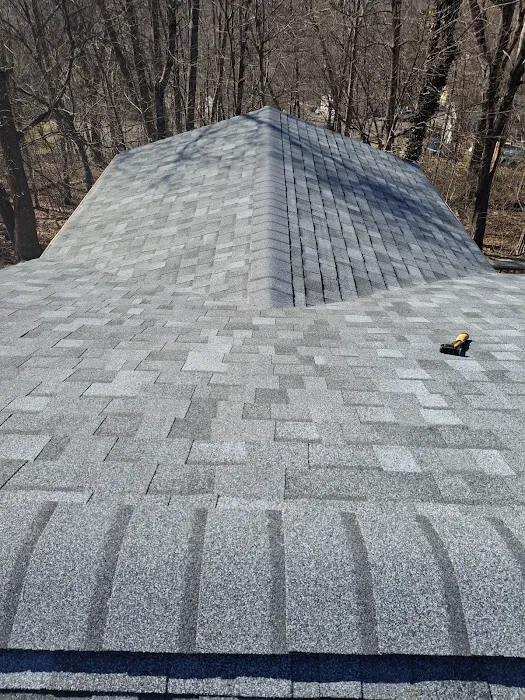 Empire Construction Picture 5