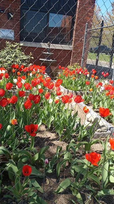 Ernest Peterson Inc Picture 1