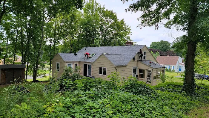 Modern Roofing Picture 4