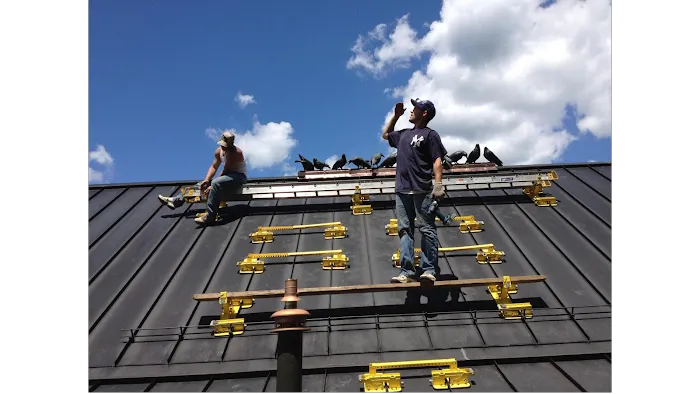 Mario Lallier LLC Picture 10