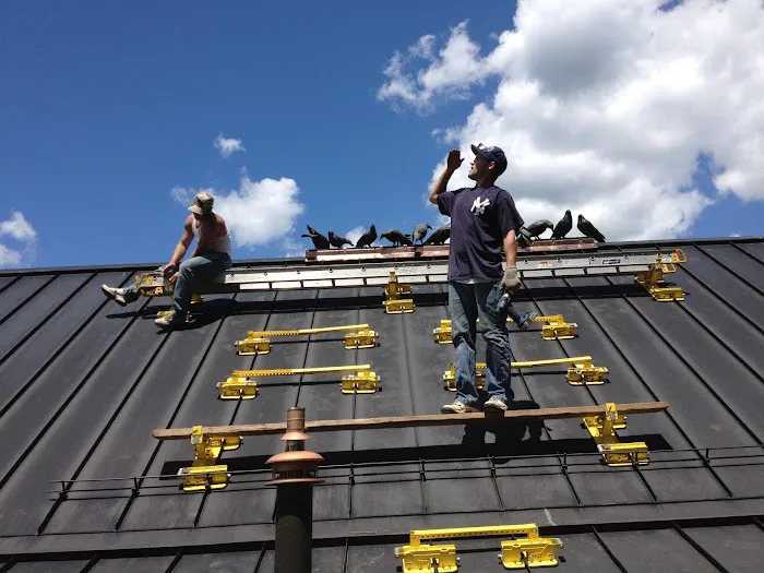 Mario Lallier LLC Picture 8