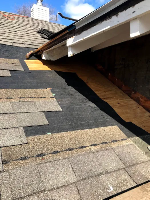 Leon Restoration Inc Picture 9