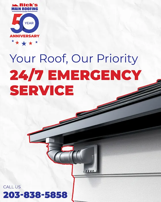 Rick's Main Roofing Ltd Picture 3