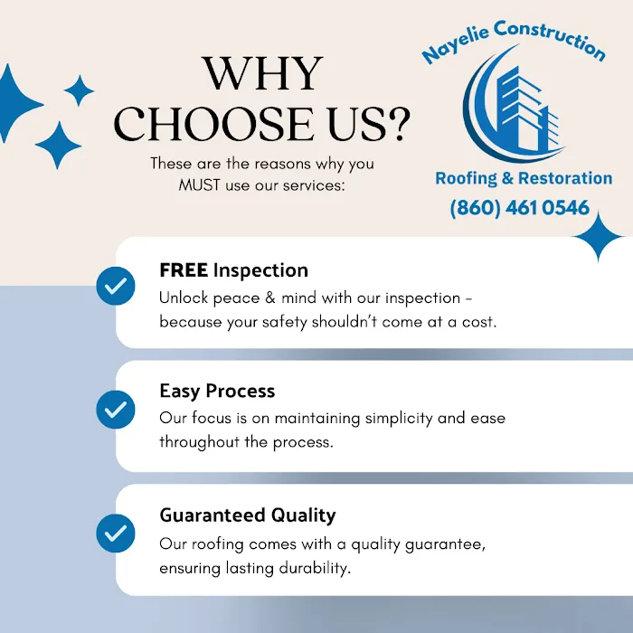 Nayelie Construction Picture 2