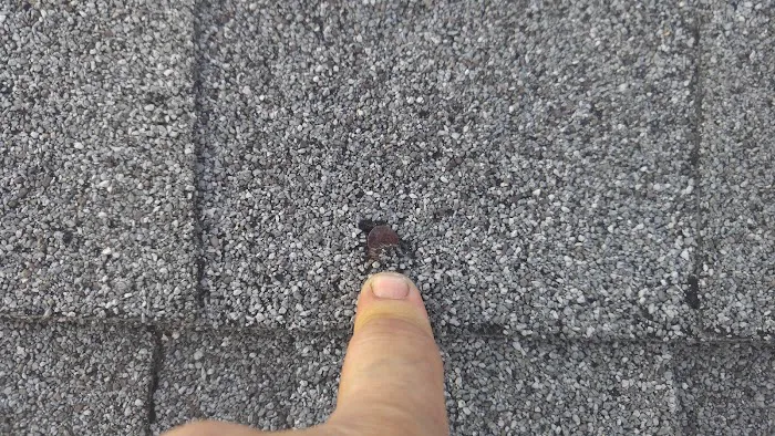 S & A-Sani, LLC Picture 5