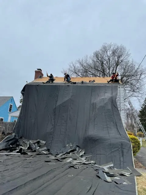 Classic Metal Roofs Picture 7