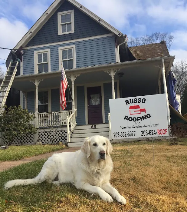 Russo Roofing Inc Picture 3