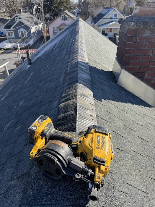 Mike's Roofing Repair and Carpentry Picture 1