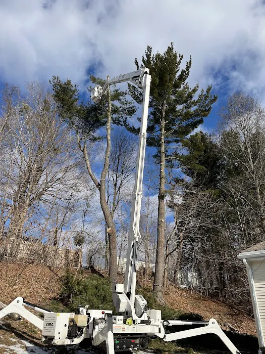 Colonial Exteriors Picture 1