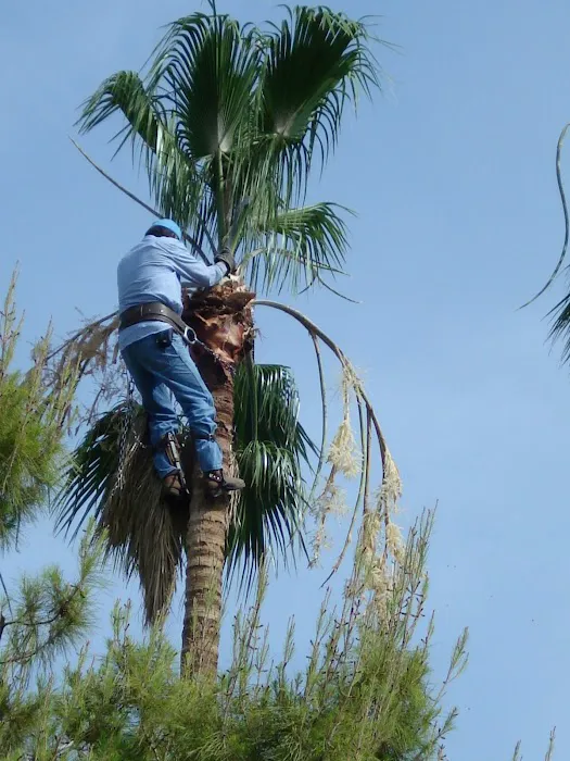 Morrissey Construction - Roofing Contractor Picture 1