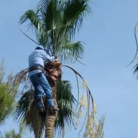 Morrissey Construction - Roofing Contractor ico