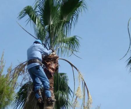 Morrissey Construction - Roofing Contractor