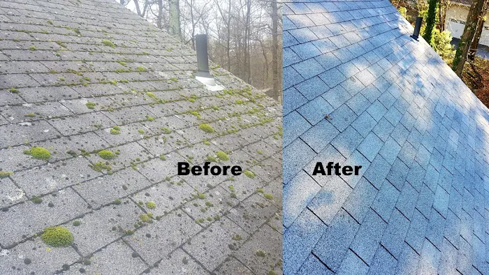 Ugly Roof Doctor LLC, Roof Cleaning, Repair and Replacement Picture 5