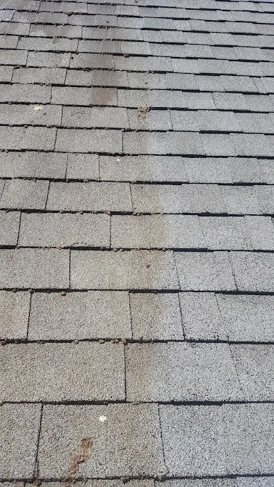 Ugly Roof Doctor LLC, Roof Cleaning, Repair and Replacement Picture 6