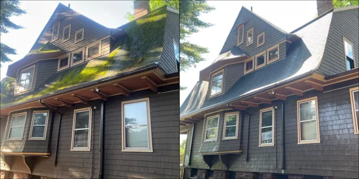 Safe Roof Cleaning LLC Picture 8