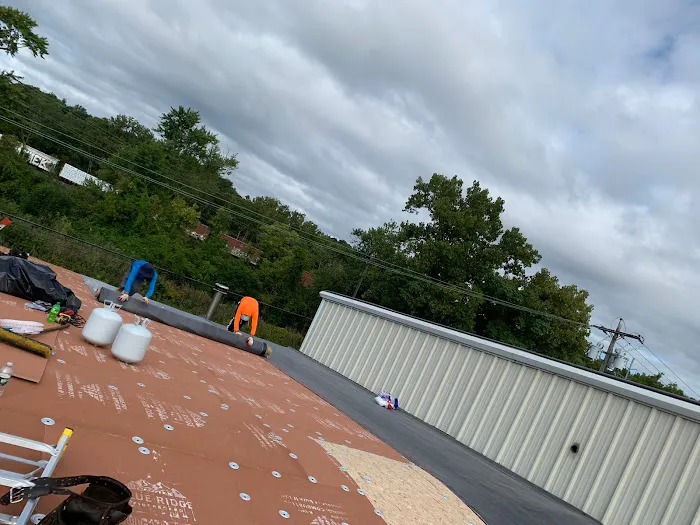 Art Roofing Picture 5