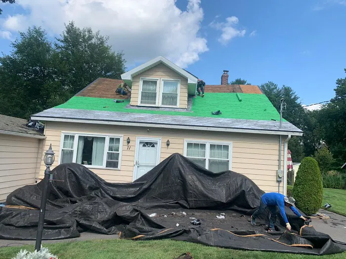 Art Roofing Picture 6