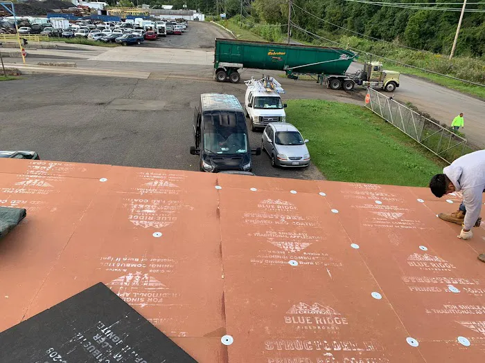 Art Roofing Picture 9