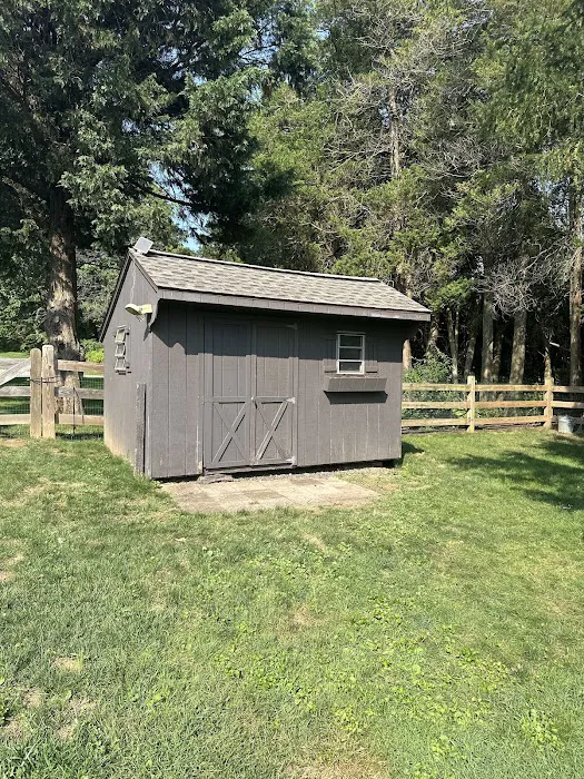 2nd Storm Shield Picture 4