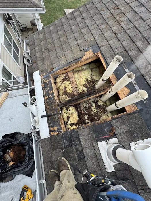 Allied Exteriors, Inc Picture 6