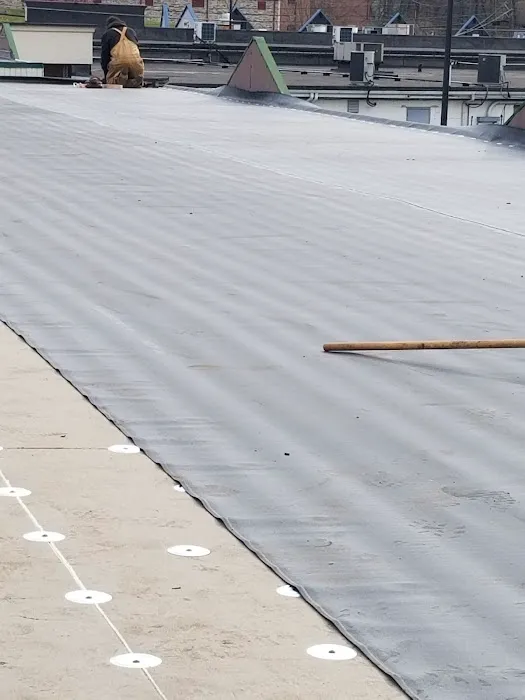 HARTZ ROOFING Picture 5