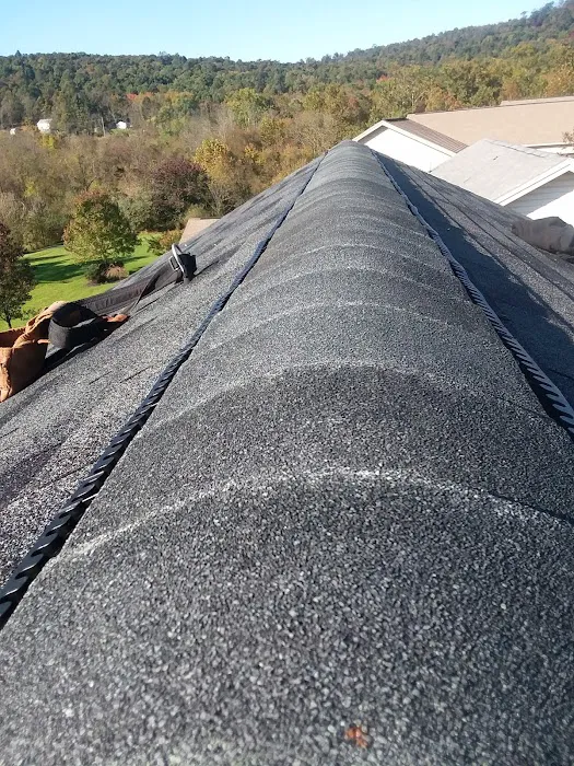 HARTZ ROOFING Picture 7