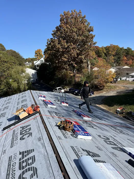 WA ROOFING SERVICES LLC Picture 8