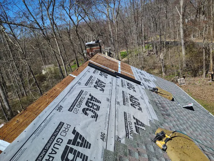 Madecol roofing and tree cutting service llc Picture 8