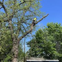 Madecol roofing and tree cutting service llc ico