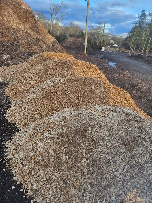 Madecol roofing and tree cutting service llc Picture 2