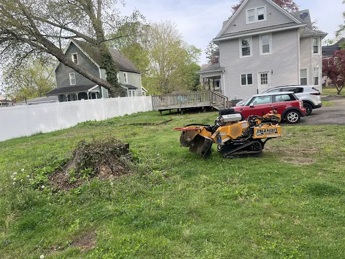 Madecol roofing and tree cutting service llc Picture 9