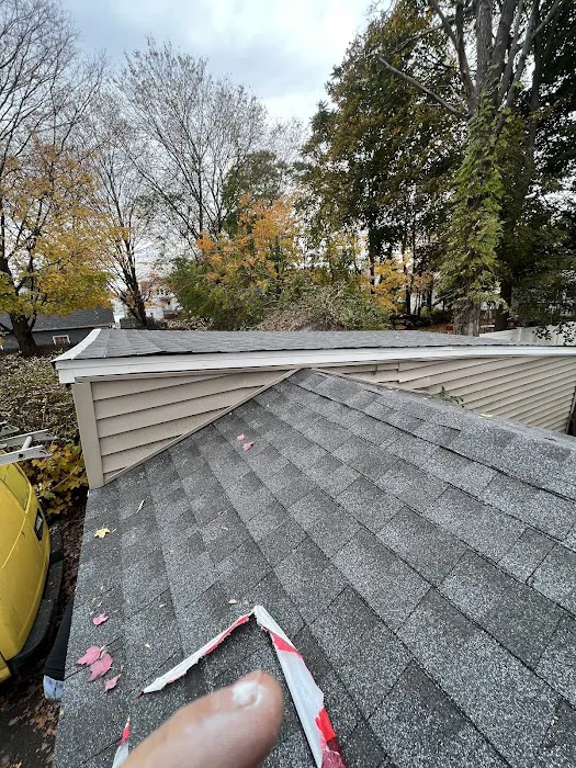 Madecol roofing and tree cutting service llc Picture 6