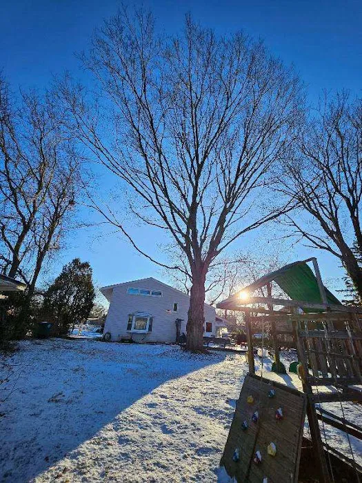 Madecol roofing and tree cutting service llc Picture 8