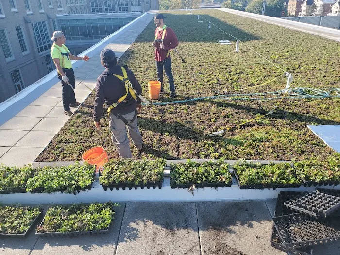 Silktown Roofing, Inc. Picture 9