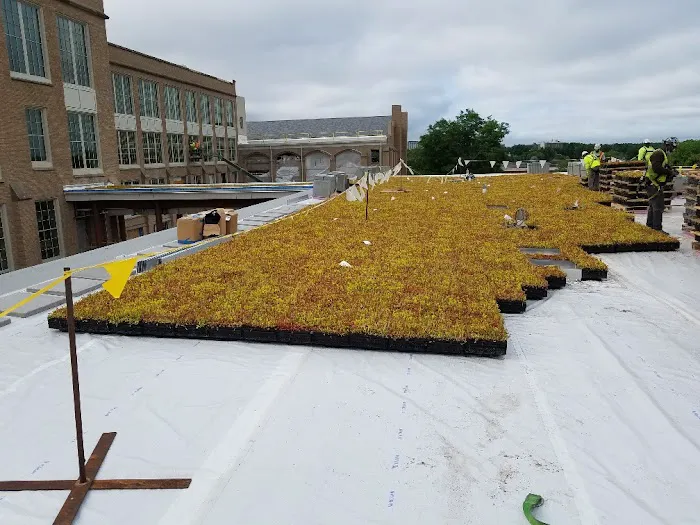 Silktown Roofing, Inc. Picture 8