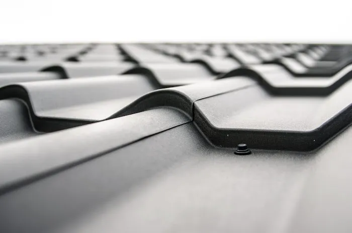Modern Metal Roofing Picture 6