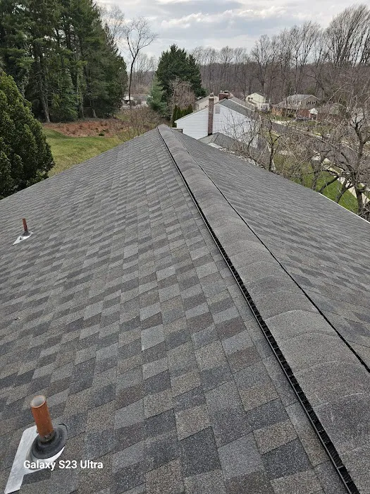 Apple Remodeling Picture 1