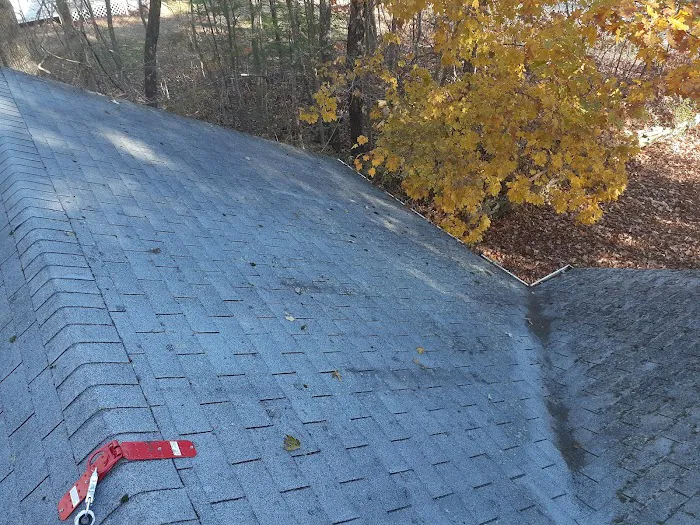 LaBranch Roofing Picture 6