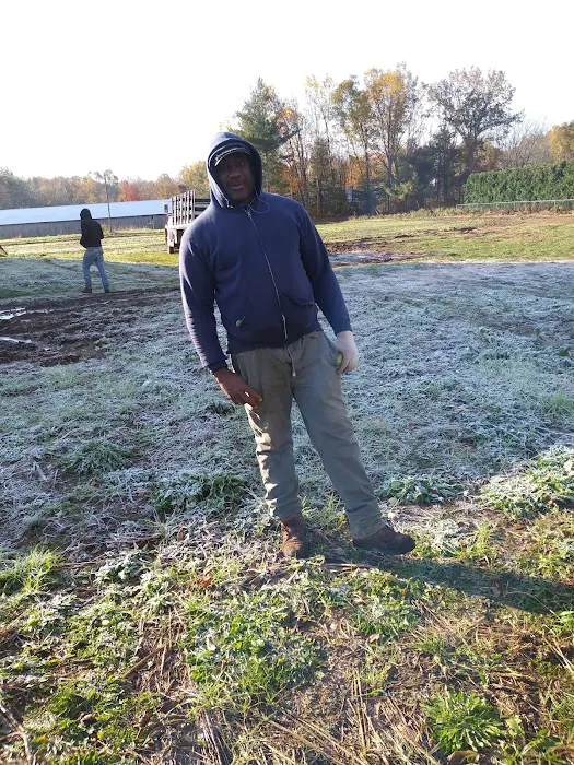 Gleason Roofing Picture 3