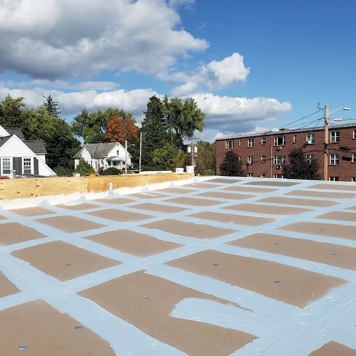 Green Roof Solutions,LLC Picture 10