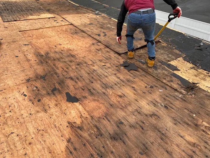 Vector Home Improvement Picture 7