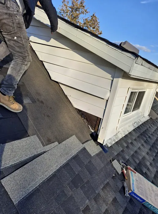 1st Amazon Roofing Picture 8