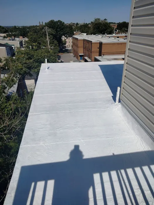 1st Amazon Roofing Picture 3