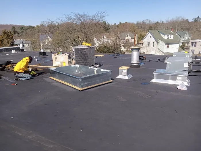 1st Amazon Roofing Picture 4