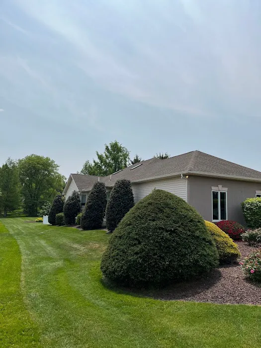 DePalma Roofing Picture 1