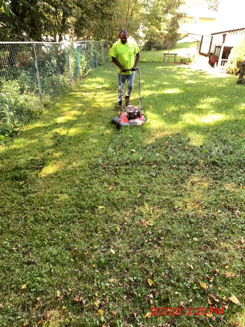 S & S Salvage Preservation LLC Picture 2